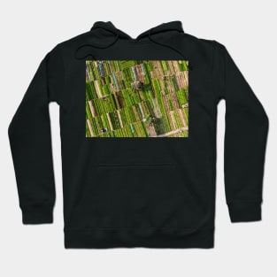 Vegetable village aerial view in Hoi An, Vietnam Hoodie